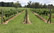 The Bendooley vinyard