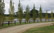 The pond