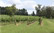 In the Bendooley vinyard